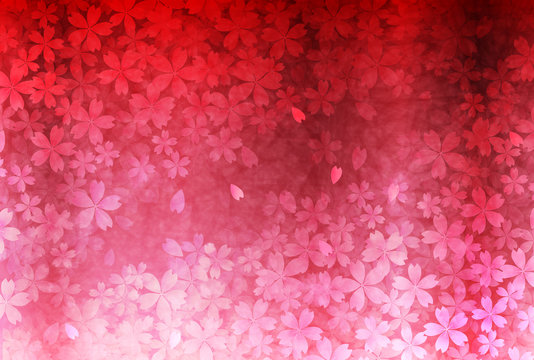 桜　春　花　背景