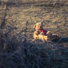 Teddy bear sitting on carriage