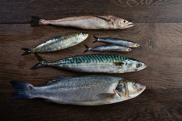Fresh fish hake seabass sardine mackerel anchovies