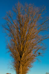 Sonnenuntergang im bayerischen Voralpenland