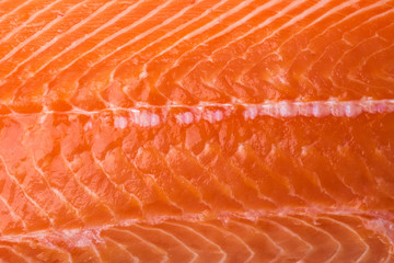 Piece of big salmon fillet over white