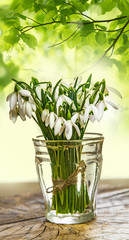 snowdrop flowers on a table