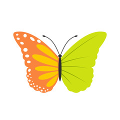 Butterfly ecology flat icon 