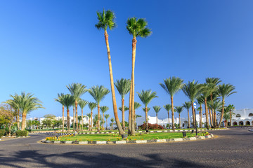 The view to road and palm trees near the hotels 