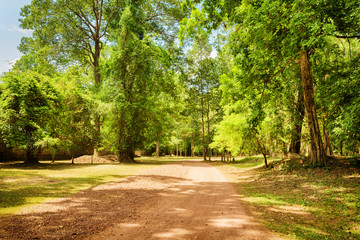 Dirt road through rainforest in ancient Angkor Wat, Cambodia