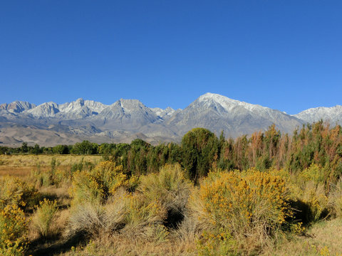 Nevada prairie with distant mountains - landscape photo