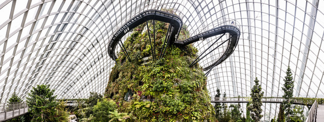 Singapore Cloud Forest Panorama