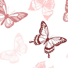 butterflies design