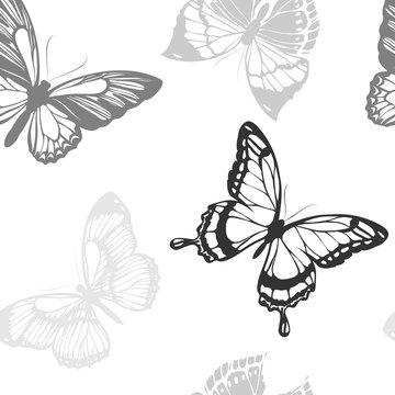 butterflies design