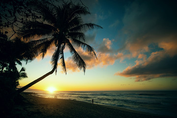 Sonnenuntergang am Sunset Beach auf O'ahu, Hawai'i - obrazy, fototapety, plakaty