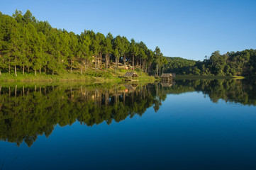 pang ung , reflection of pine tree in a lake , meahongson , Thai