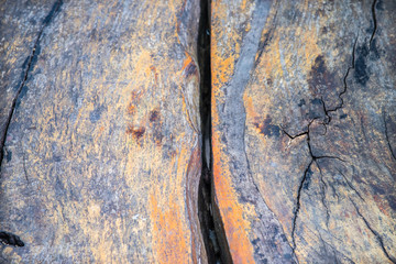Wooden background