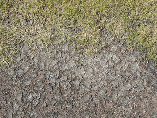 grass on the ground broken