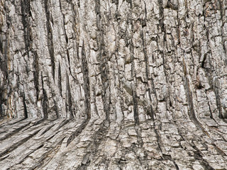 Wooden background