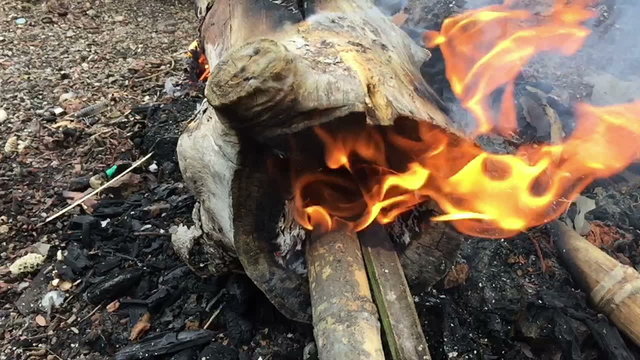 Flames rising up from burning pile of sticks with smoke. Slow motion