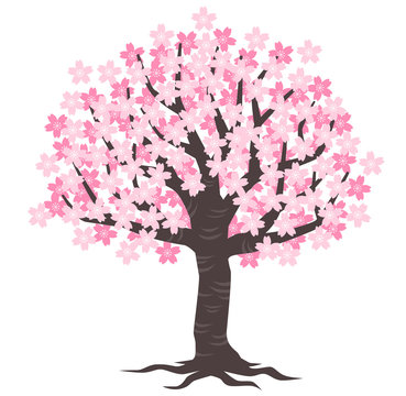 19 026 Best 桜の木 Images Stock Photos Vectors Adobe Stock