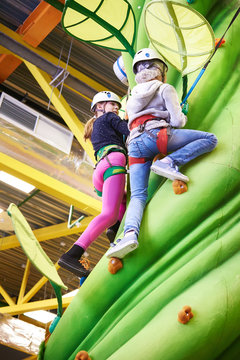 Two athlete girls climbing on artifical green tree