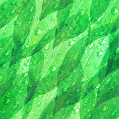 Fototapeta na wymiar Green leaves pattern texture fresh nature,spring ,summer background