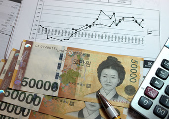  Financial accounting calculate and graph analysis with korean money