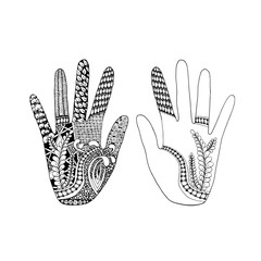 Fototapeta premium Floral palm, hand drawn zentangle style for our design