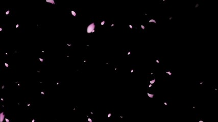 舞い散る桜　sakura cherry blossom - Powered by Adobe