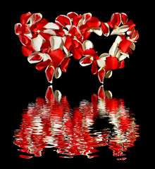 Dwa serca z płatków róż na białym tle z odbiciem w wodzie.Walentynki.Białe i czerwone płatki róż ułożone w kształcie serc.