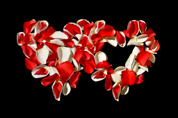 Dwa serca z płatków róż na białym tle. Walentynki.Białe i czerwone płatki róż ułożone w...