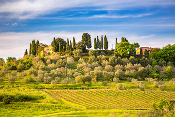 Fototapeta na wymiar Beautiful tuscany landscape at spring , Italy