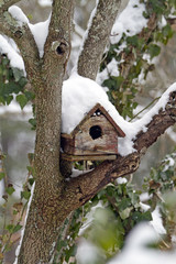 Weathered Snow Covered Birdhouse
