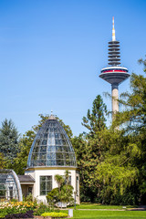 Gewächshaus im Palmengarten in Frankfurt am Main mit dem Fernsehturm Im Hintergrund © parallel_dream