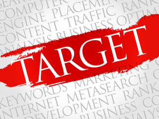 TARGET word cloud, business concept