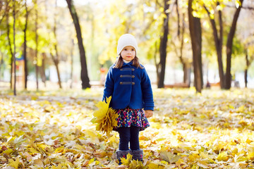 little girl keeps leafs in hand in park in the autumn