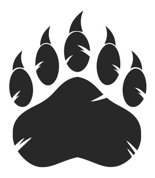Bear Paw Images – Browse 3,777 Stock Photos, Vectors, and Video