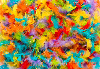 Colorful background of vivid dyed feathers