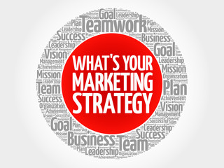 What's Your Marketing Strategy circle word cloud, business concept