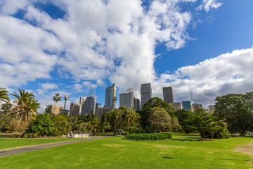 Fototapeta premium Sydney skyline