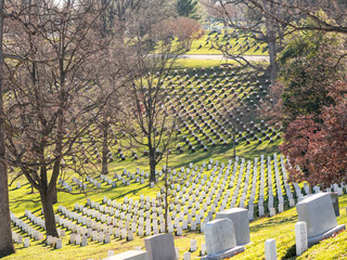 Graves of Arlington