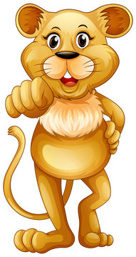 Cute lion standing alone