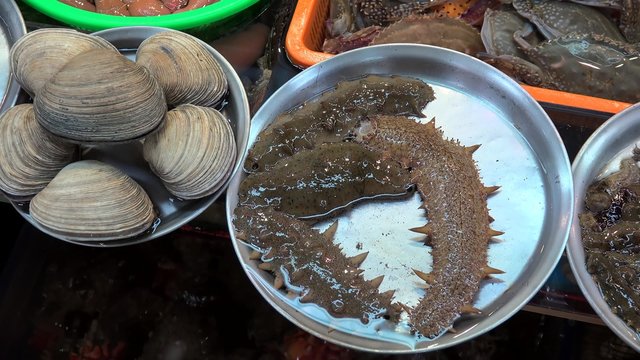 Alive seafood at the Jagalchi Fish Market (Trepang, Gaebul & Seashells). Busan