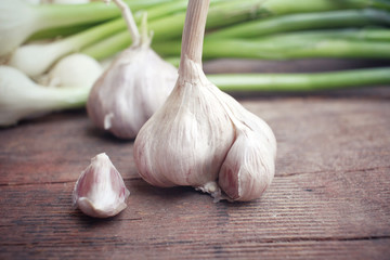 Plant of garlic