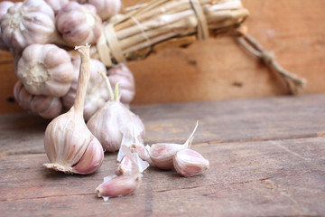 Garlic