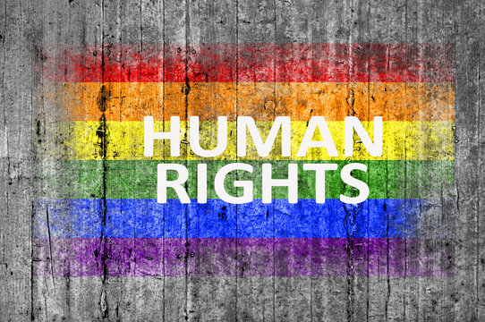 Human Rights and LGBT flag painted on background texture gray co