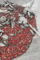 drying red berries coffee in the sun take with selective color technique and art lighting