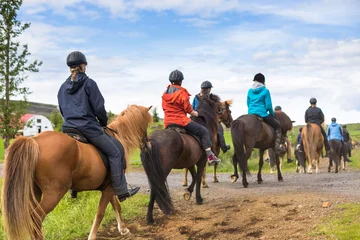 Stoff pro Meter Group of horseback riders ride  in Iceland © lkoimages