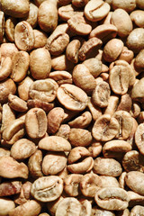 Coffee beans for backgrounds or textures