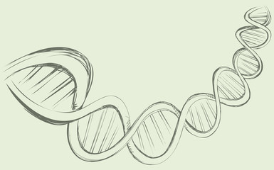 DNA chain in develop, functioning and reproduction of living organisms and many viruses. Vector freehand ink drawn backdrop sketch in art doodle style pen on paper. View close-up with space for text