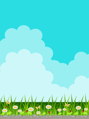 Fototapeta premium Background with grass and sky