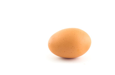 egg on white background