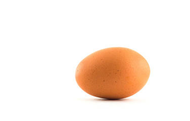 egg on white background