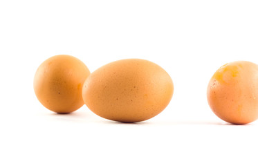 egg on white background